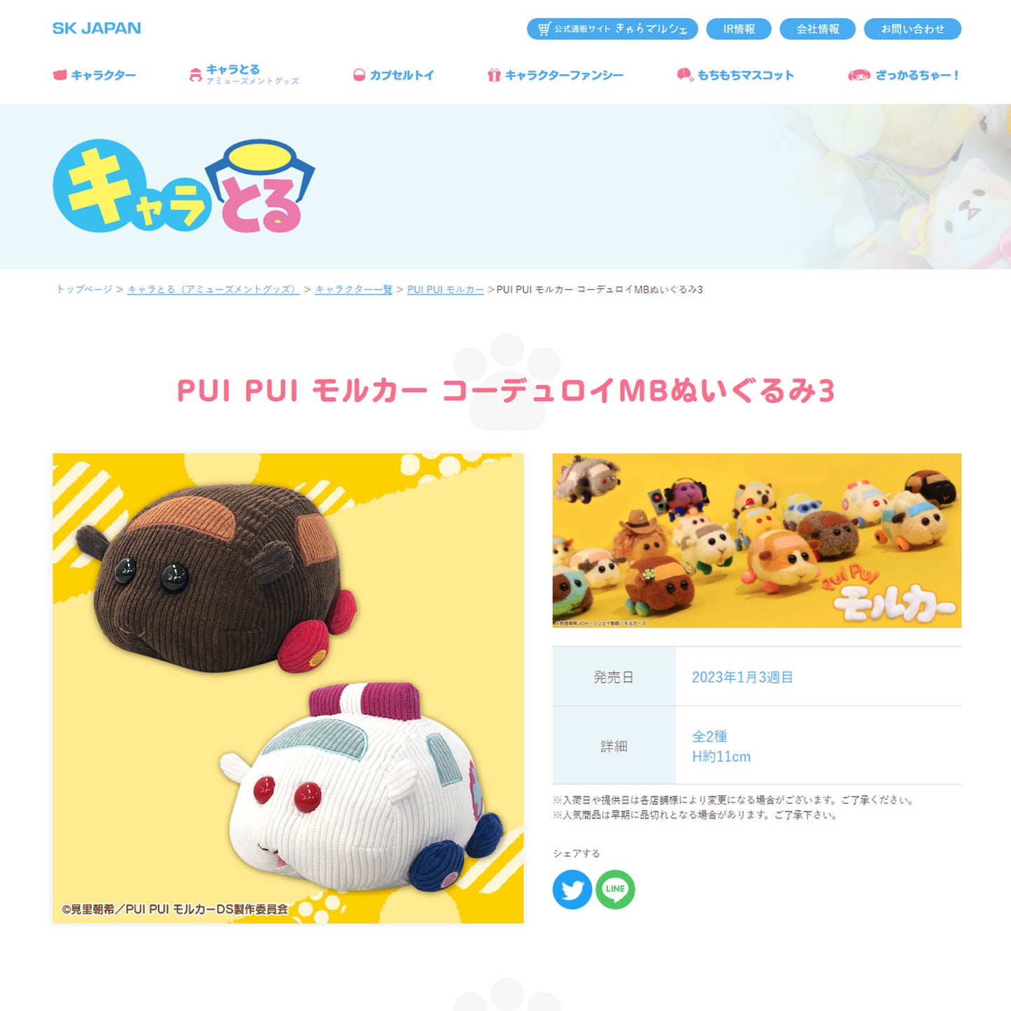 Pui Pui Molcar | Corduroy Teddy Plush