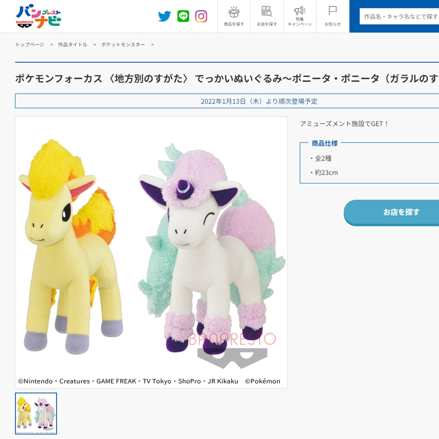 Pokémon Focus | Ponyta Plush
