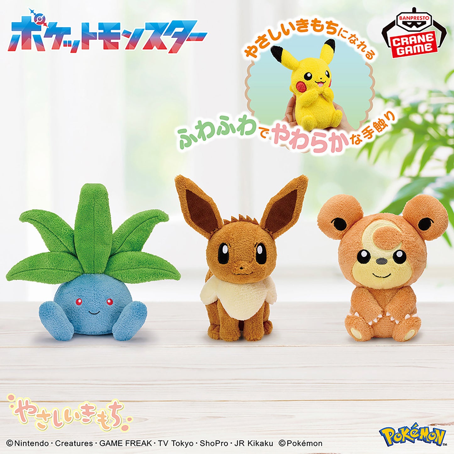 Pokémon | Gentle Feelings | Teddiursa Sitting Soft Small Plush