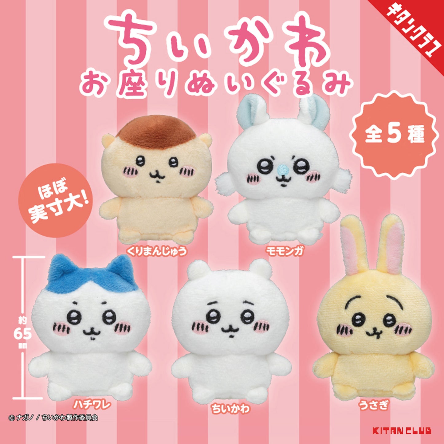 Chiikawa | Sitting Series 1 | Hachiware Mini Plush
