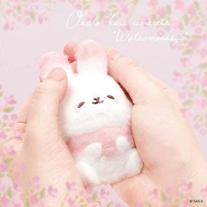 Sugarcocomuu | Introduction | Sugarcocomuu Sitting Mini Plush