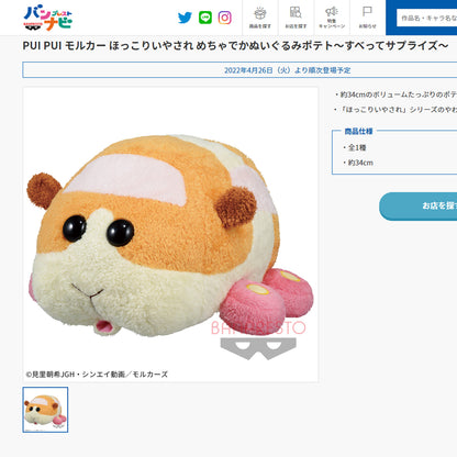 Pui Pui Molcar | Hokkori Healing | Potato Big Plush