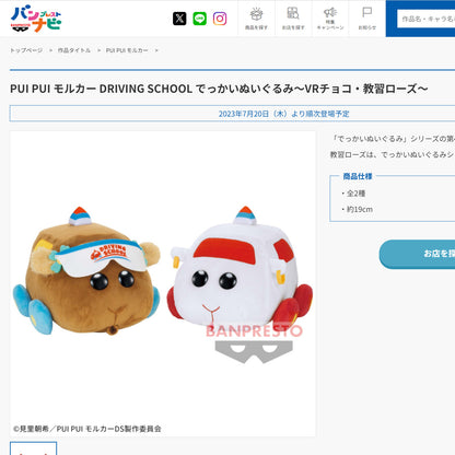 Pui Pui Molcar | Driving School | VR Student Choco Small Plush