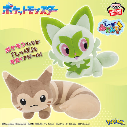 Pokémon | Look at the Tail! | Sprigatito Plush