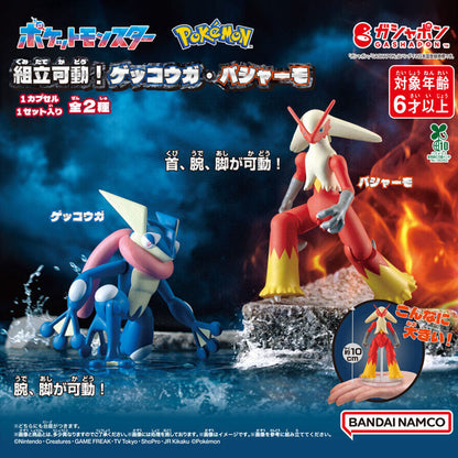 Pokémon | Assemble & Move | Blaziken Poseable Figure